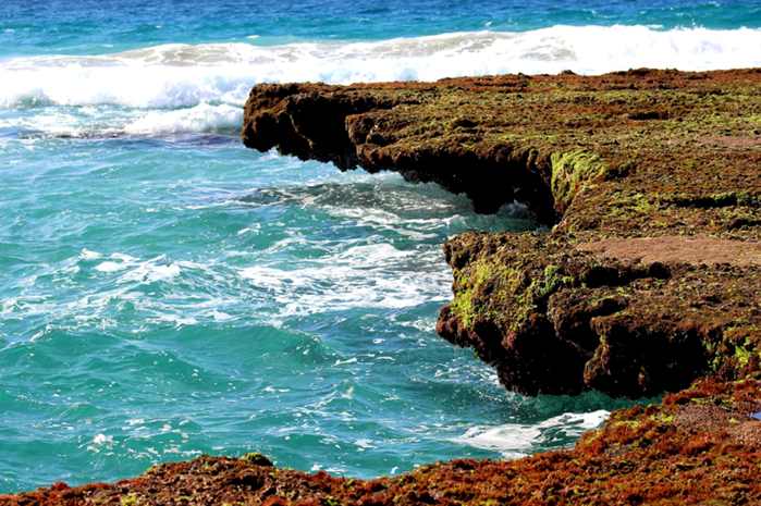 Ilha das vinícolas fica ao centro